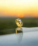 Cartier-Inspired Luxury Gold Plated Ring + Gold Bracelet